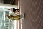 DSC_3787.JPG